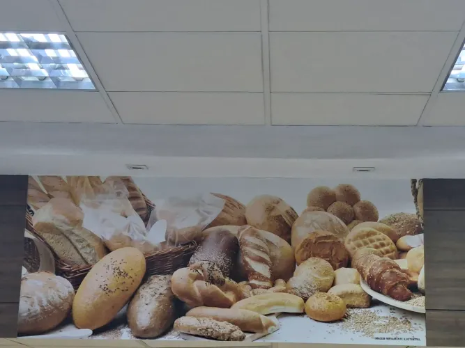 Cozinheira URGENTE