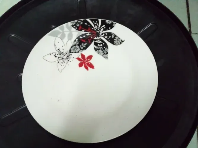 Prato Porcelana 30 cm