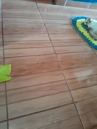 Pedreiro disponível