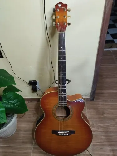 VIOLAO EAGLE CH70F maciço 