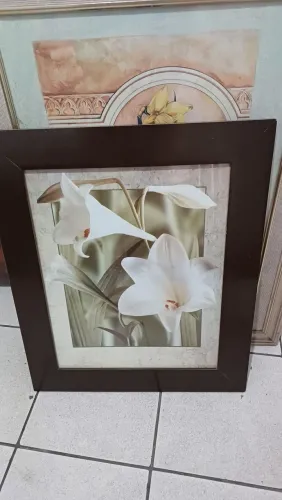 Quadro Flores Brancas