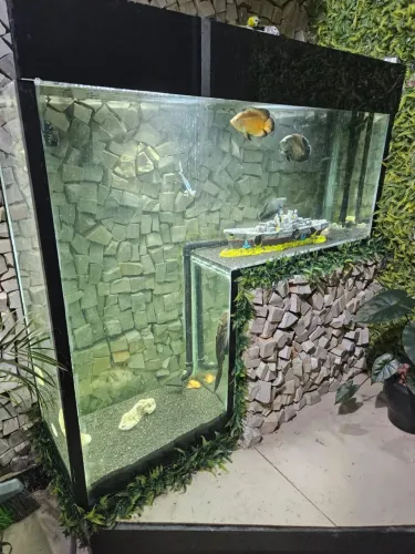 Aquario em vidro temperado - 450 litros + sump (100 litros)