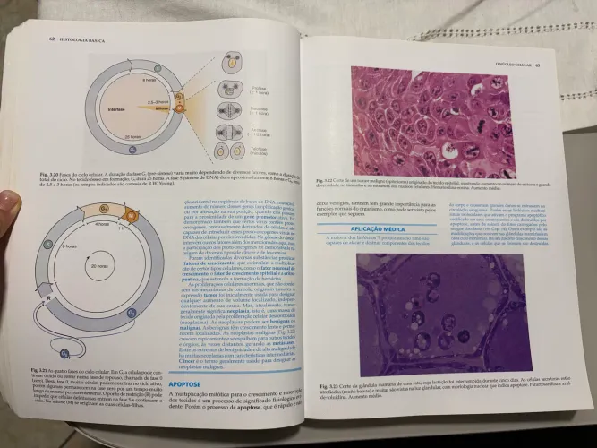 Histologia básica, Luiz C Junqueira