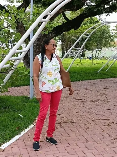 Diarista