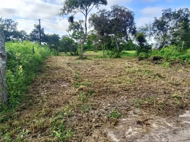 Terreno