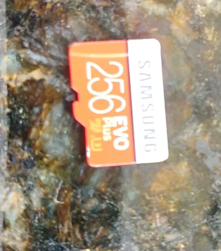 SAMSUNG 256 GB EVO Plus MicroSDXC com anúncio, Laranja