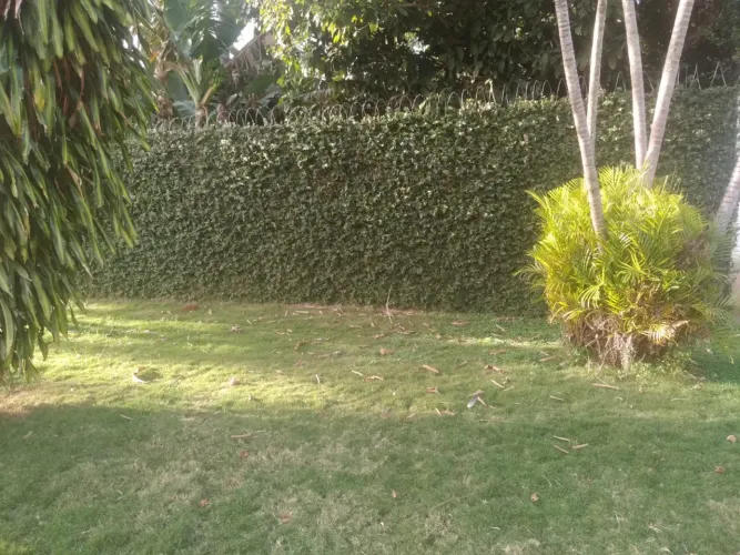 Terreno Barato Vila Popular 