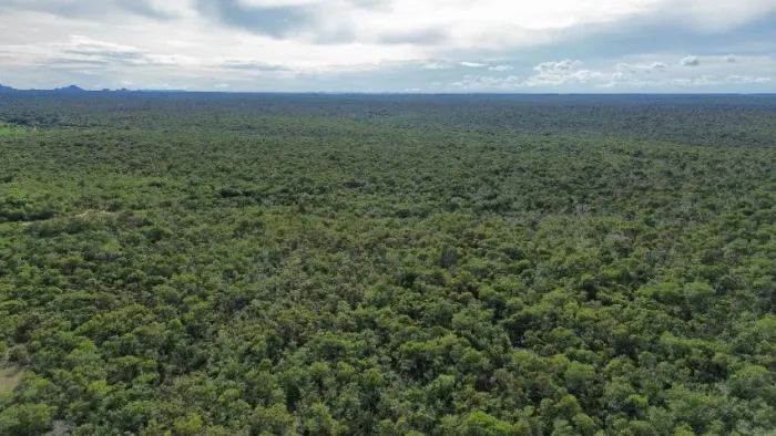 Fazenda documentada- 1.000 hectares