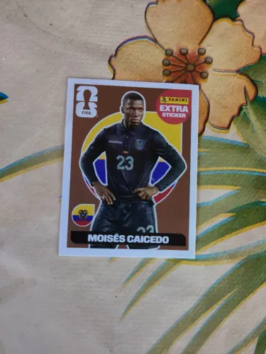 MOISÉS CAICEDO - LEGEND - BRONZE 2026