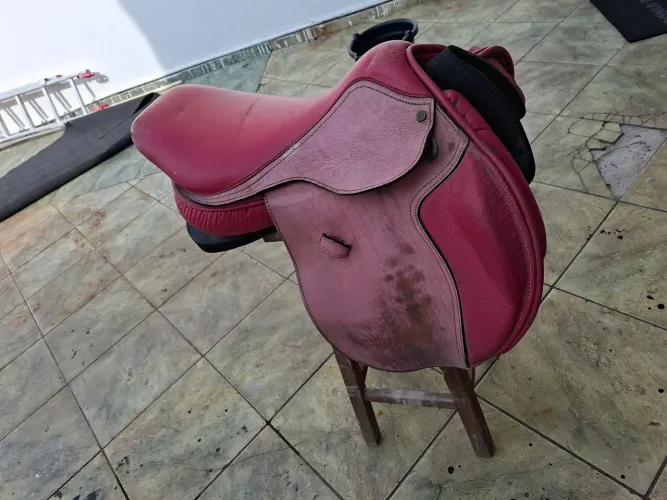 Sela rosa para hipismo + Protetor de Rins