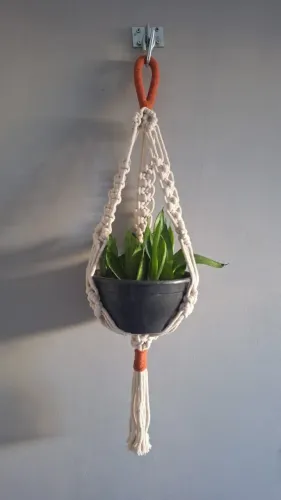 Suporte de planta