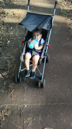 Carrinho de bebe