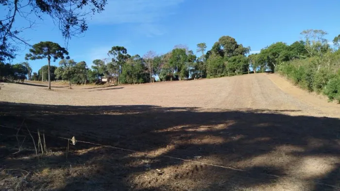 Terreno de 4.000 m² com Vista para a Serra de São Luiz do Purunã | Bugre - Campo Largo