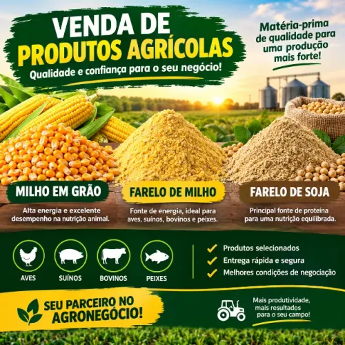Milho Disponivel direto do Produtor sem Atravessadores