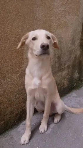 Doação 