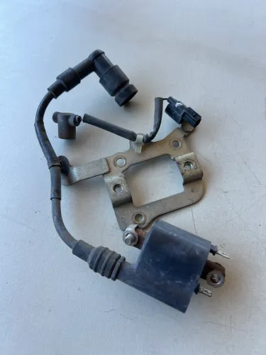 Bobina De Ignição Honda Adv 150 Original (Usado)