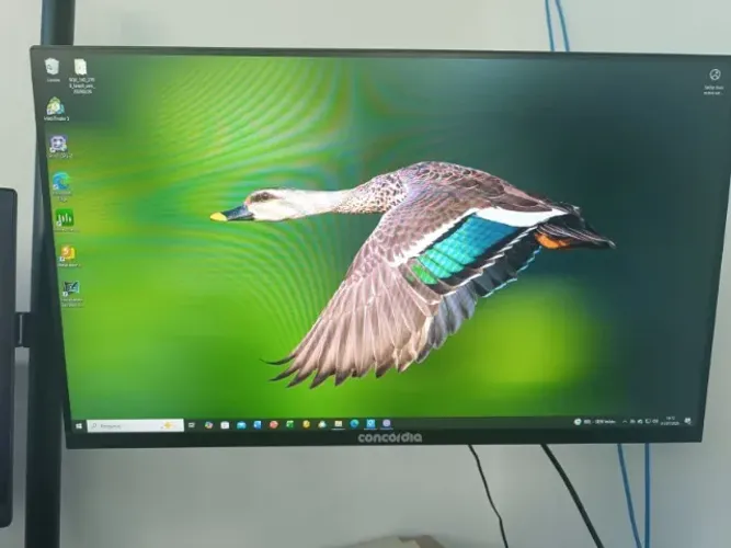 Monitor Gamer
