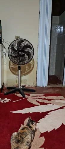 Vendo motivos mudança 