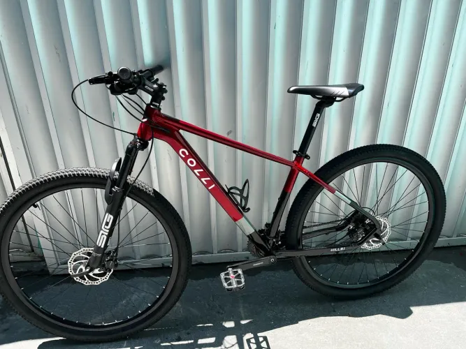 Bicicleta freio hidráulico-TAM M