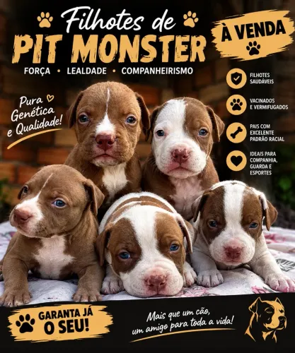 Filhotes de Pitmonster