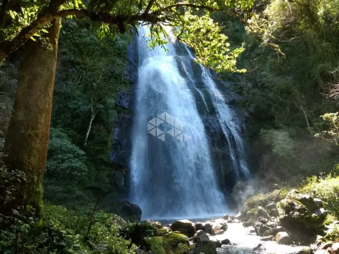 350 ha de campos e matos na Roça Nova, São Francisco de Paula