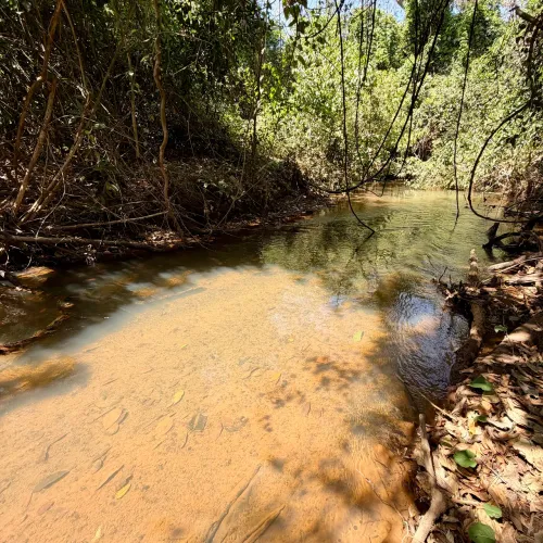 Chácara com Córrego à 300 metros da cidade de Goianápolis-GO