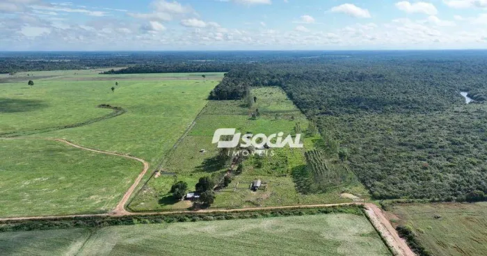 FAZENDA À VENDA 48 HECTARES | A 25 KM DE PORTO VELHO/RO
