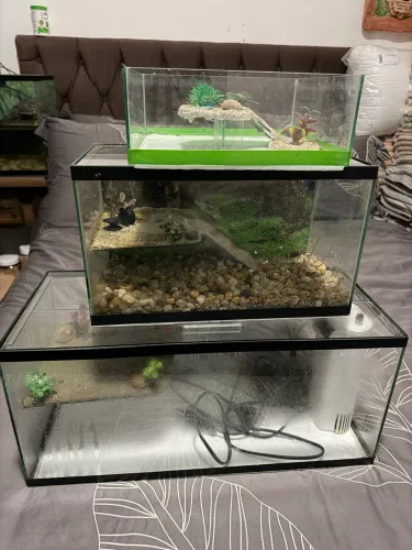 3 Aquaterrario