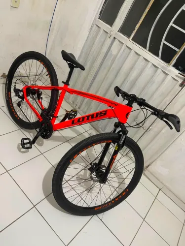 Bicicleta Aro 29