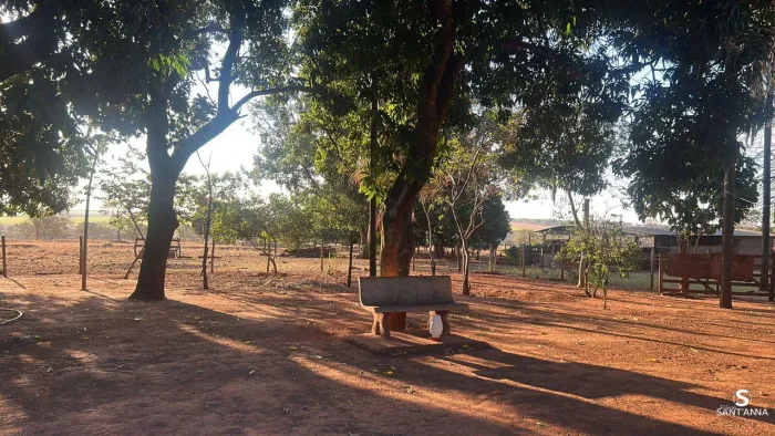 Sítio à venda em Iturama Excelente localização e grande potencial rural REF: FS20726