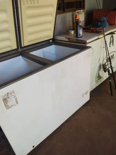 FREEZER. 1.000 OS DOIS. LÊ O ANÚNCIO