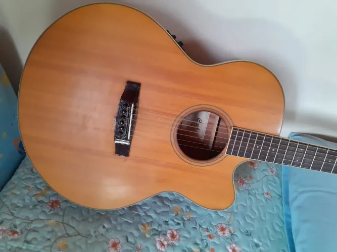 Violão elétrico profissional