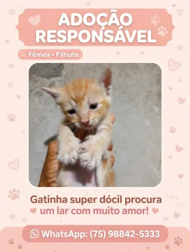 Para doação. 