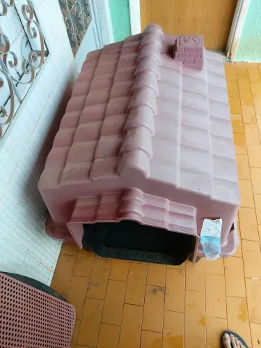 Casinha de cachorro seminova (grande).