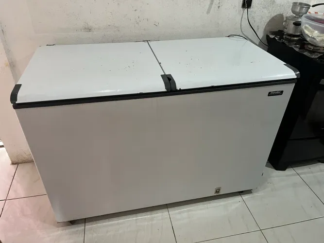 Freezer Esmaltec 439L