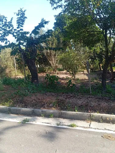 Lote no boa esperança são Joaquim de Bicas