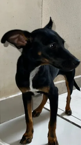 Doação 