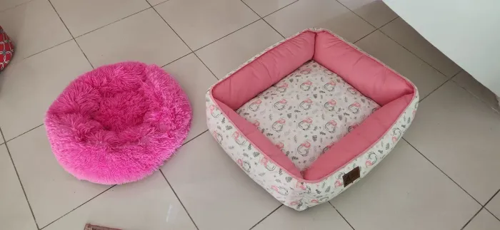 Caminhas novas para cães pequenos