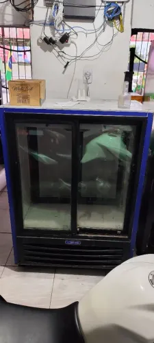 Freezer expositor 