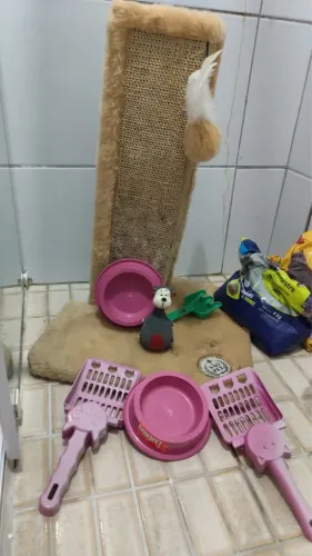 Kit completo para gato - com um precinho especial 