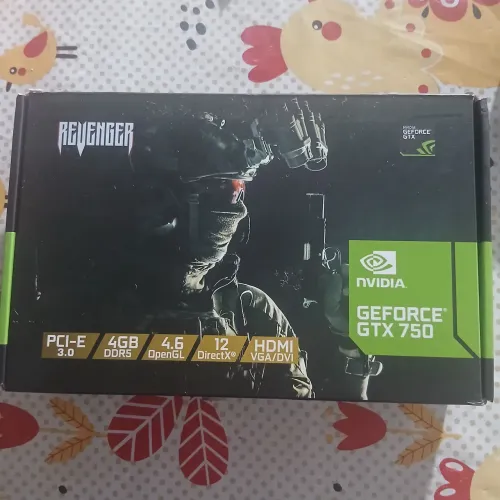 PLACA DE VIDEO