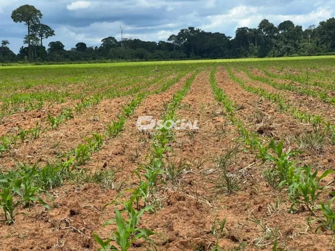 OPORTUNIDADE-PROPRIEDADE RURAL EM CANDEIAS DO JAMARI