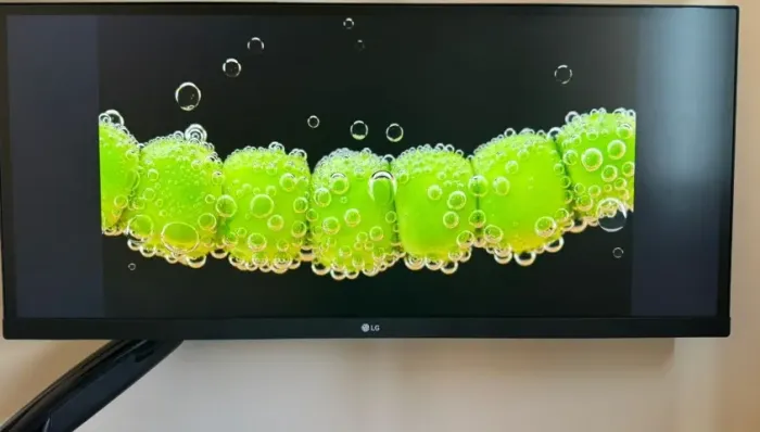 Monitor LG UltraWide 29? IPS HDR10 + Suporte Articulado ELG F410 - Semi-novo (6 meses de u