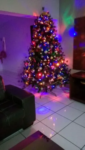 Árvore de natal