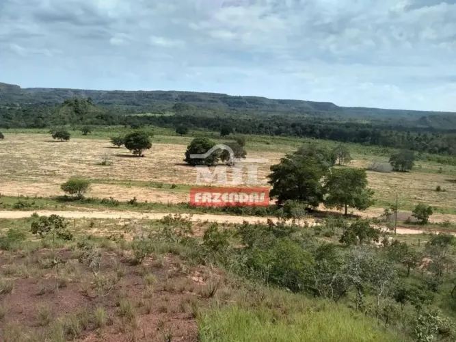 Fazenda 483 Alqueires (2.342 Hectares) Campos Lindos - To