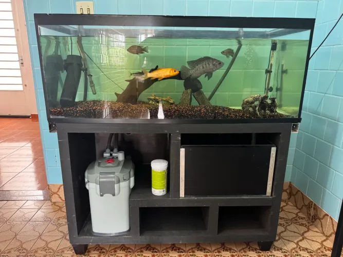 Aquario 350 litros