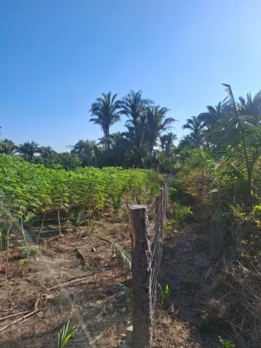 Terreno 20x60 m²