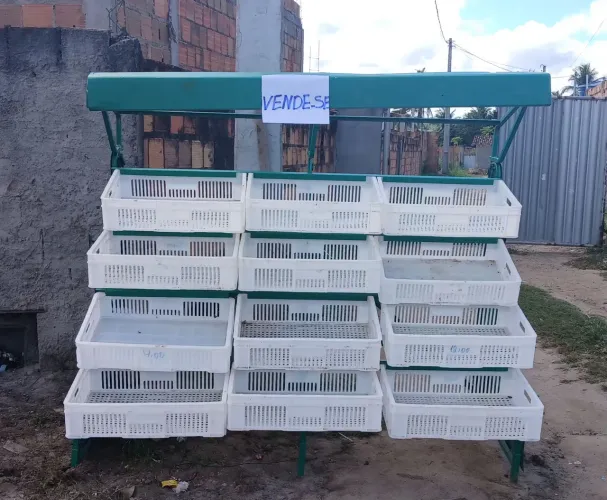Expositor de verduras