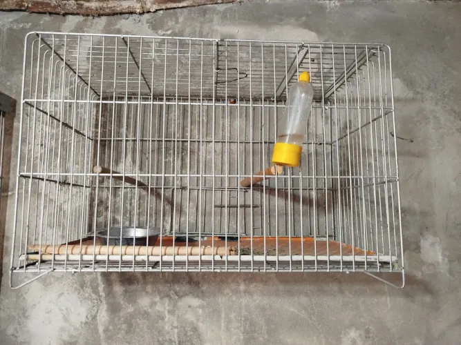 Gaiola para aves