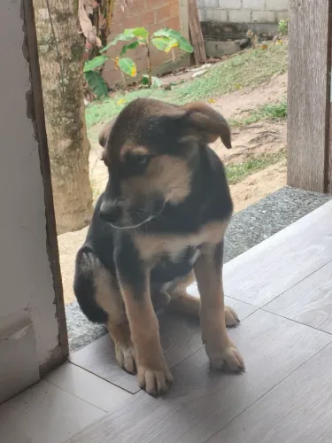 Doação